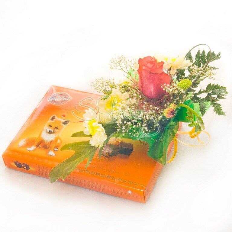  &laquo;Chocolate&raquo;