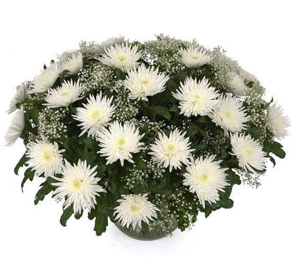  &laquo;Happy day&raquo;