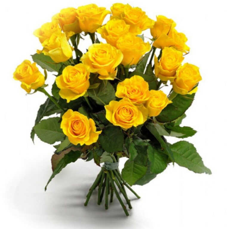 yellow spray roses