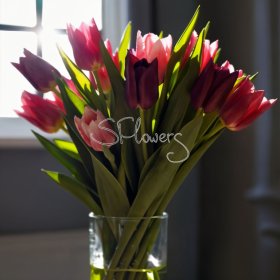 Good morning, my love!