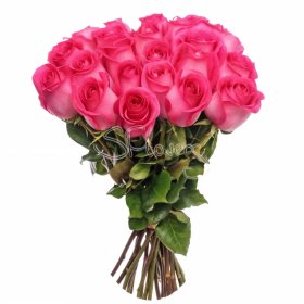 Fresh crimson roses