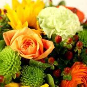Flowers melody