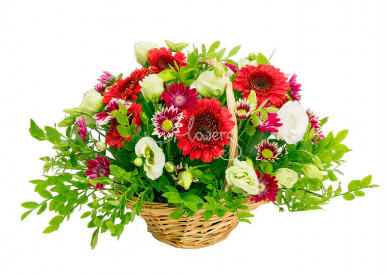 Gift