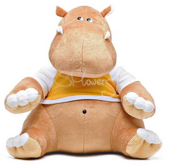 Hippopotamus