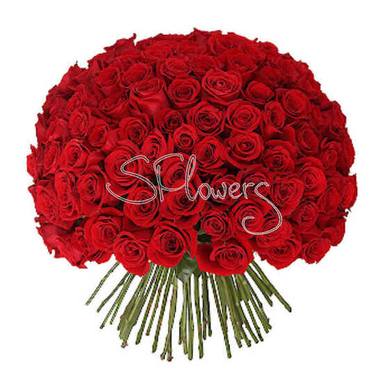 Roses for you