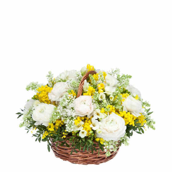 Spring