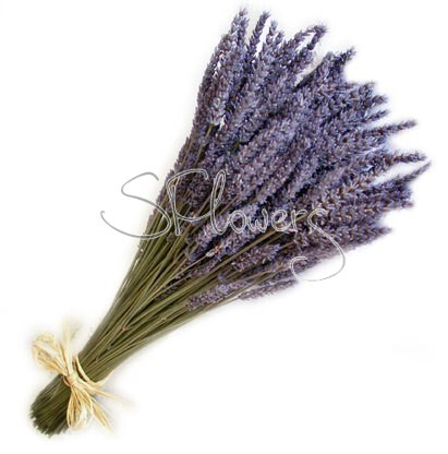 Букет &laquo;Bouquet of lavender&raquo;