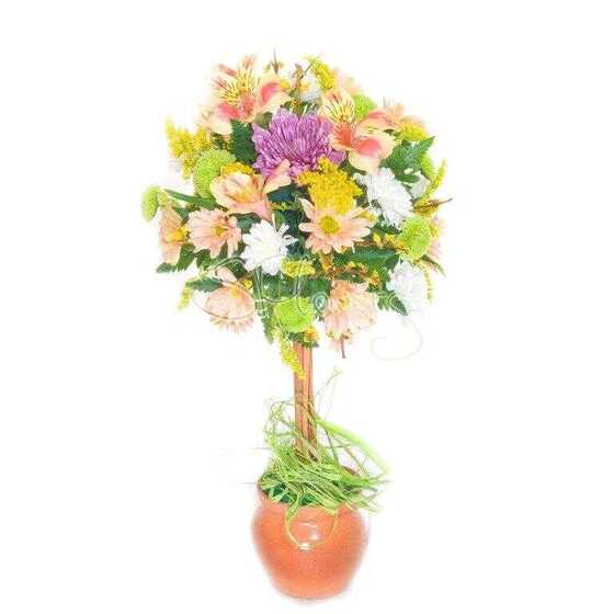 Miracle-tree