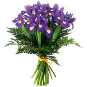 Букет &laquo;Classy irises&raquo;