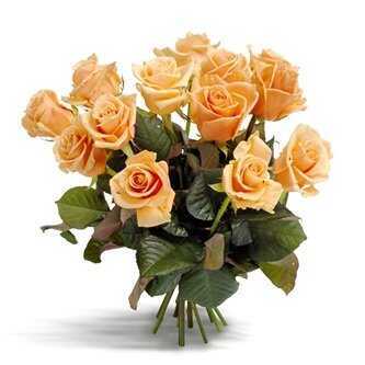 Букет &laquo;Gorgeous peach roses&raquo;