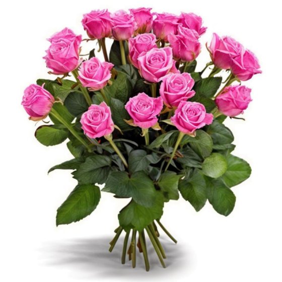  &laquo;Gorgeous pink roses&raquo;