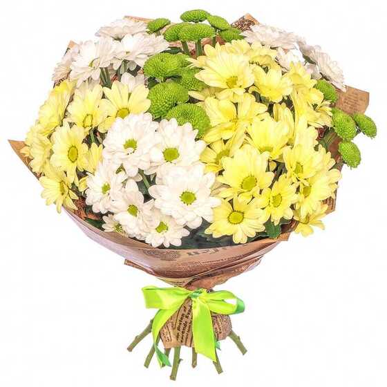 Chamomile field