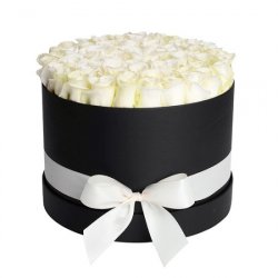  «Meringue»