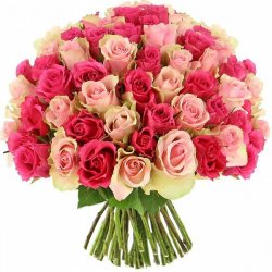  «Catch the roses»