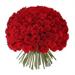  «Roses for you»