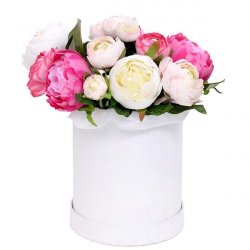  «Magic Peonies»