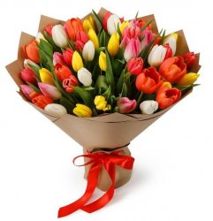  «Spring Festival»