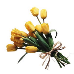  «Tulips»