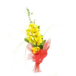  «Crown»