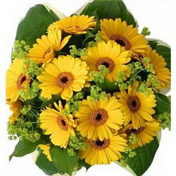  «Sunny»