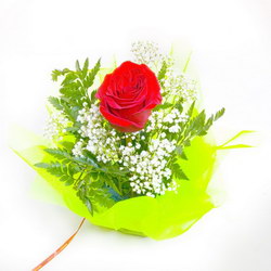  «Little present»