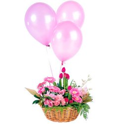  «For princess»