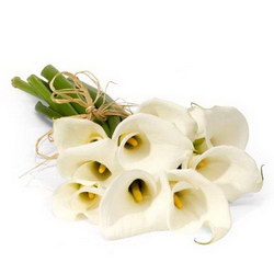  «Callas»