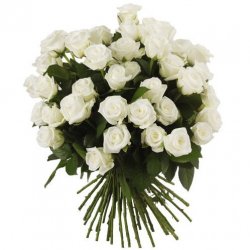  «All this just for you»