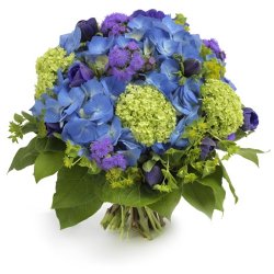  «Style Blue»