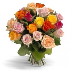  «Gorgeous colored roses»