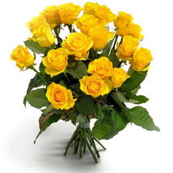  «Gorgeous yellow roses»