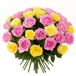  «The premium roses duo»