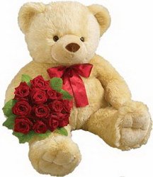  «Important bear»
