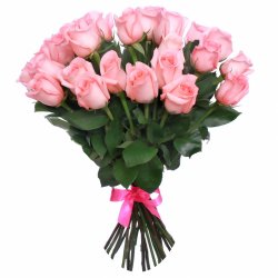  «In the pink»