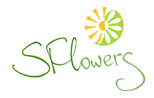 Flowers delivery from SFLowers!